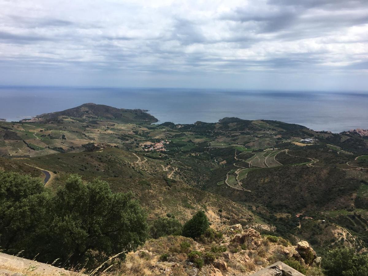 Vue Mer Panoramique Exceptionnelle L T2 Mezzanine Luxueux Banyuls-sur-Mer Ngoại thất bức ảnh