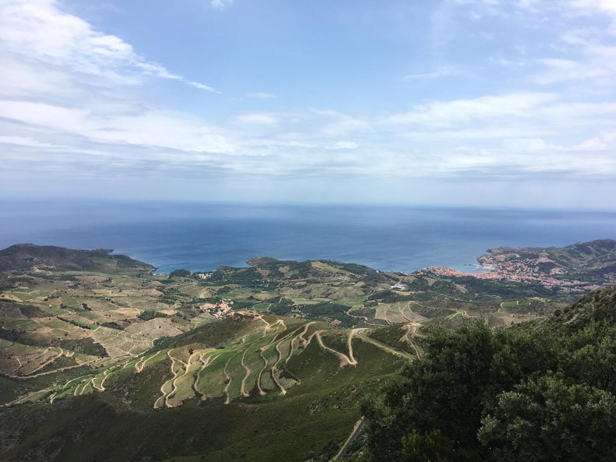 Vue Mer Panoramique Exceptionnelle L T2 Mezzanine Luxueux Banyuls-sur-Mer Ngoại thất bức ảnh